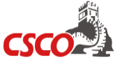 中国临床肿瘤学会 (CSCO)